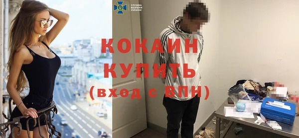 кокс Богородицк