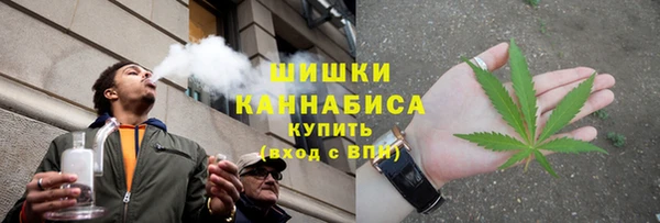 кокс Богородицк