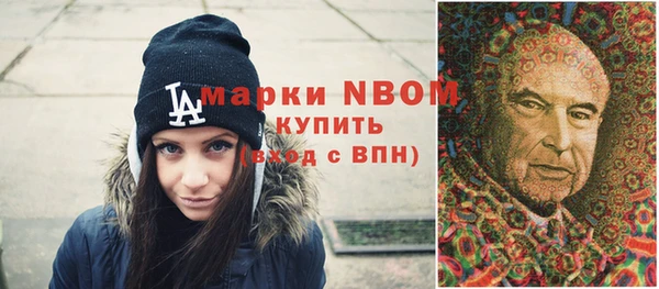 дмт Богородск