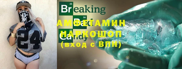 дживик Бородино