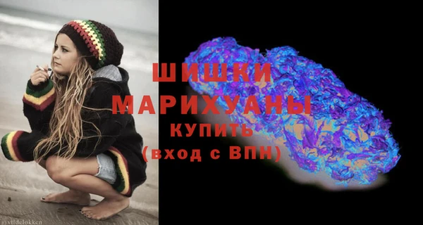 дживик Бородино