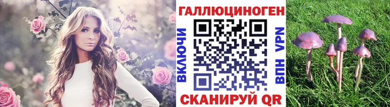 Псилоцибиновые грибы Psilocybe Губкинский